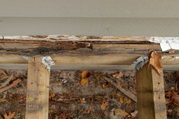 Santa Barbara Wood Rot Repair