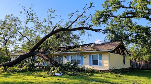 Santa Barbara Storm Restoration