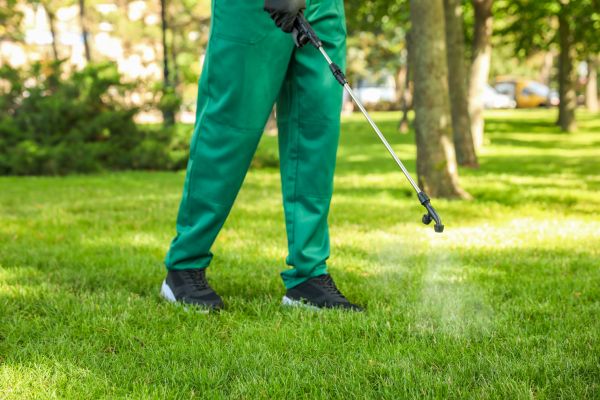 Santa Barbara Lawn Treatment