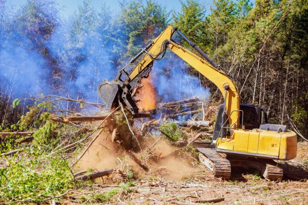 Santa Barbara Land Clearing